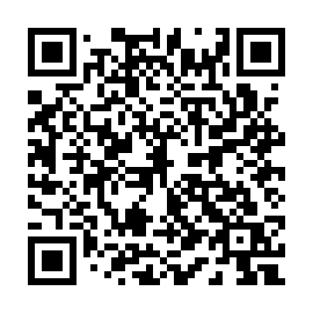 QR code for 010-ASS