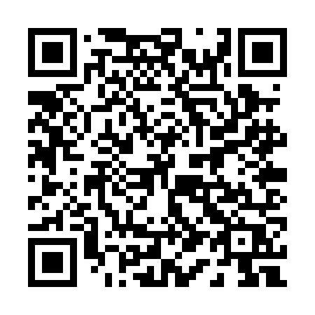 QR code for 010PNP