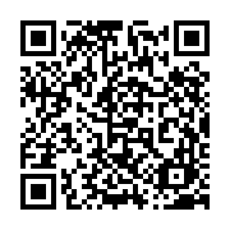 QR code for 013QFL