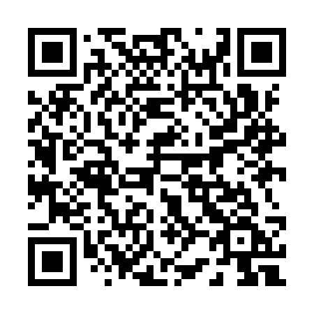 QR code for 029-ISF