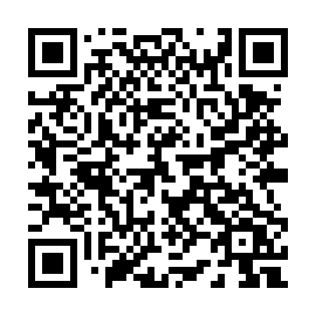 QR code for 029-TPV