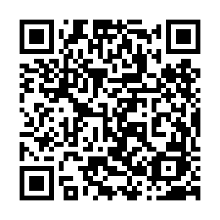 QR code for plate 029-TFJ