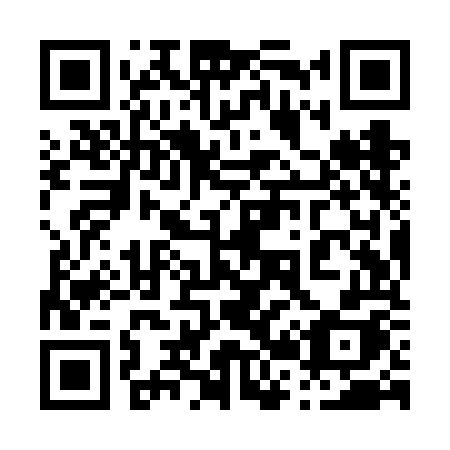 QR code for plate 029-VOH
