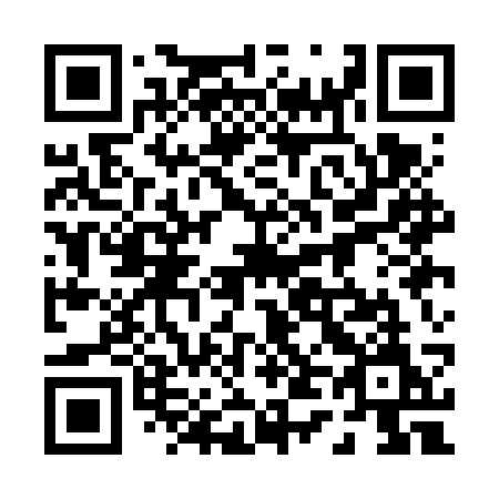 QR code for 041-FSM