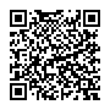 QR code for plate 041-HOR