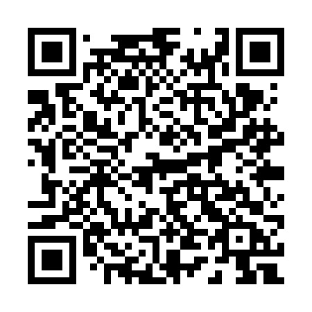 QR code for plate 041-VFB