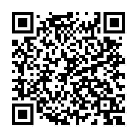 QR code for plate 045-DSS