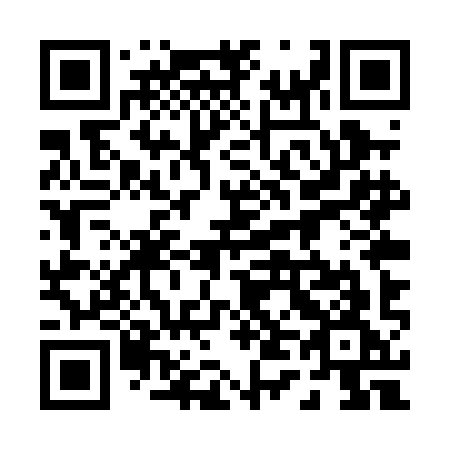 QR code for plate 045-PIG