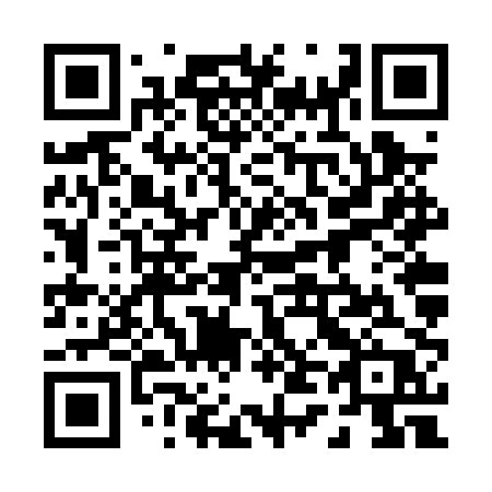 QR code for 046-PPP