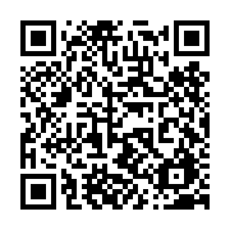QR code for plate 046-DBG