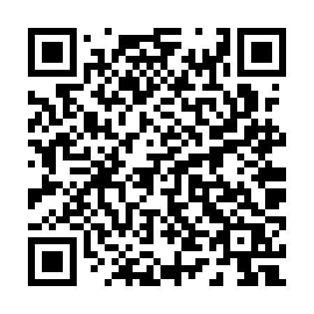QR code for plate 046-QJR
