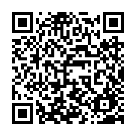 QR code for plate 046-RZD