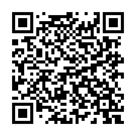 QR code for plate 049-MFN