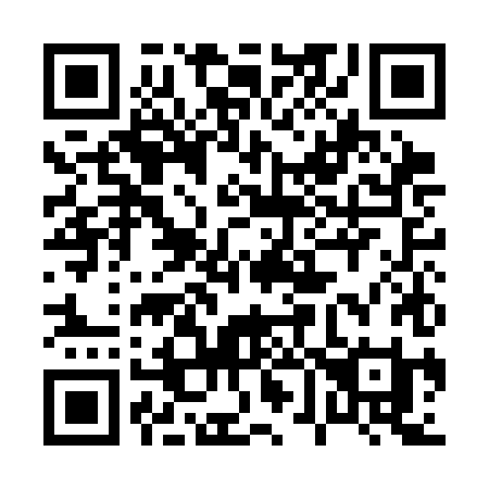QR code for plate 061-CHI