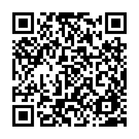 QR code for plate 061-SJG
