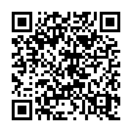 QR code for plate 061-XHX