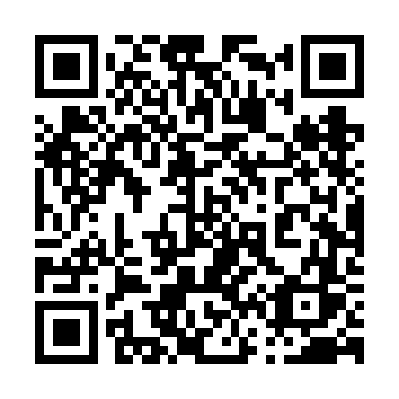 QR code for plate 064-VFS