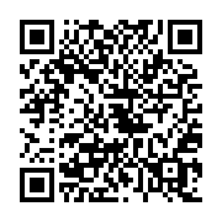 QR code for plate 067-XEF
