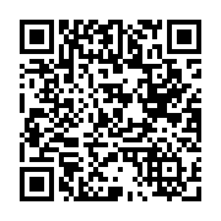 QR code for 080-MSV
