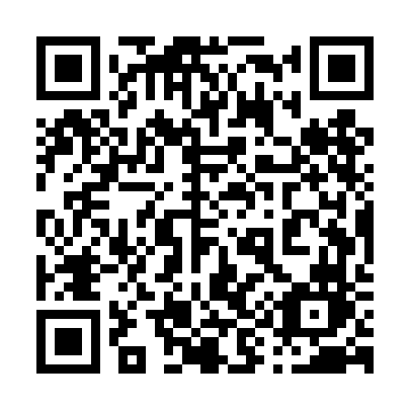 QR code for plate 095-TFN