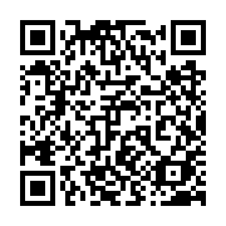 QR code for plate 096-WPI