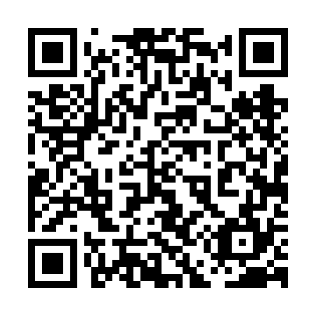 QR code for plate 0E4-6G4