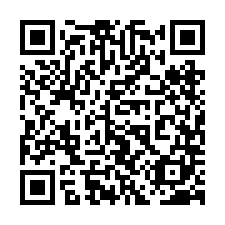 QR code for plate 0E5-2L1