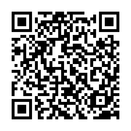 QR code for plate 0G6-3U0