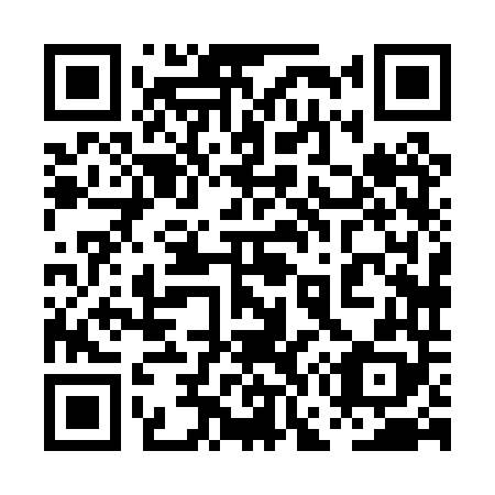 QR code for plate 0G8-0T8