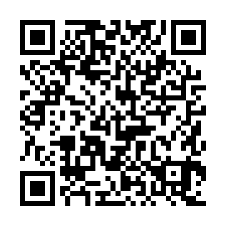 QR code for plate 0H0-1X1