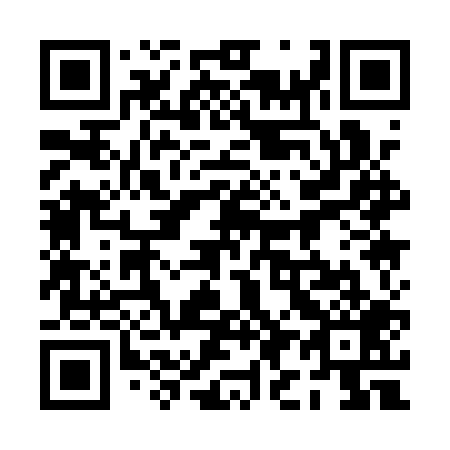 QR code for plate 0I1-1P9