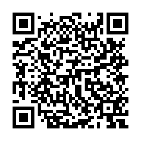 QR code for plate 0L1-8U1