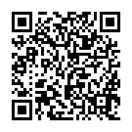 QR code for plate 0N6-1I6