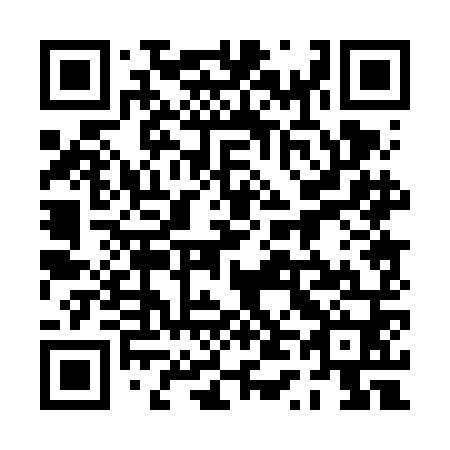 QR code for plate 0T0-6N0