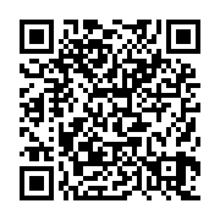 QR code for plate 0T0-9B9