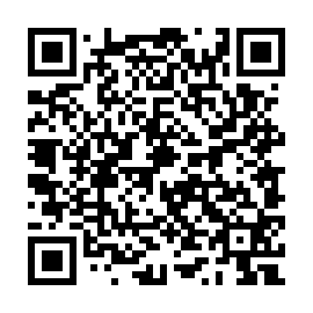 QR code for plate 0T4-5Z0