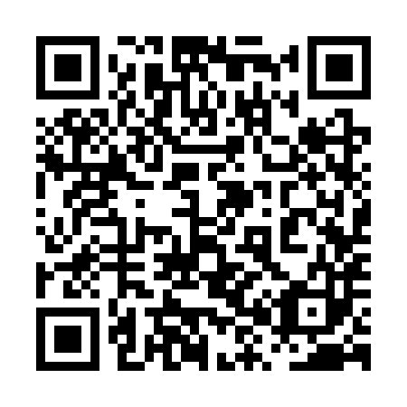 QR code for plate 0X3-3X3