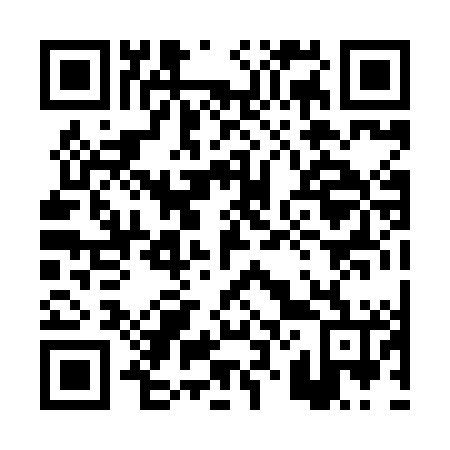QR code for plate 0Z0-8L6