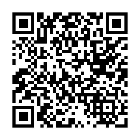 QR code for plate 0Z8-8P3