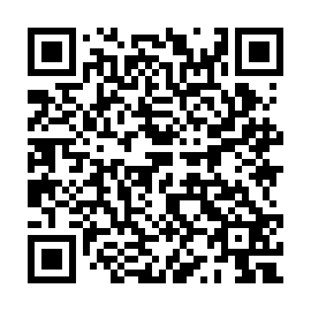 QR code for plate 0Z9-2B2