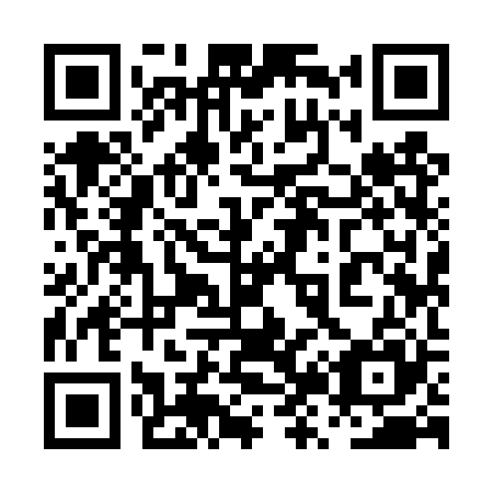 QR code for plate 0Z9-4R5