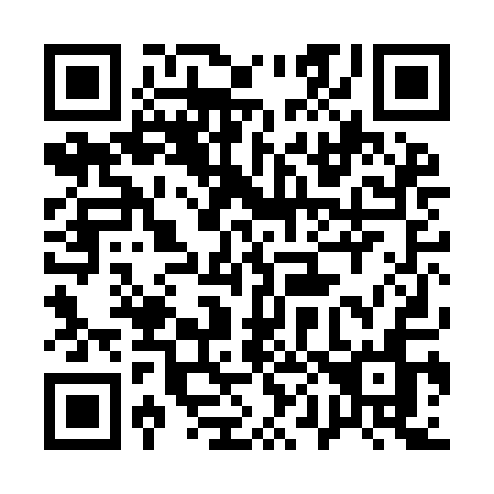 QR code for 100IAN