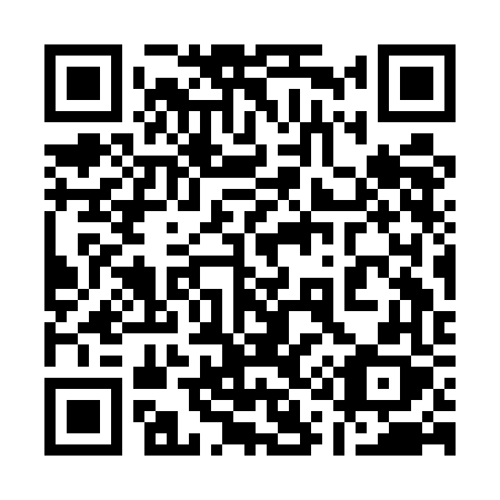 QR code for plate 113-EFX