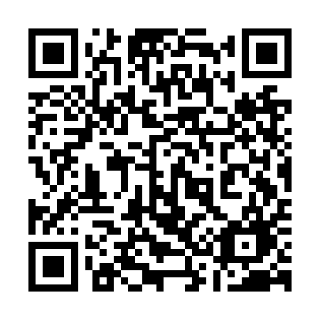 QR code for plate 133-NQG