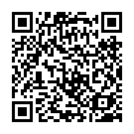 QR code for plate 133-RCI