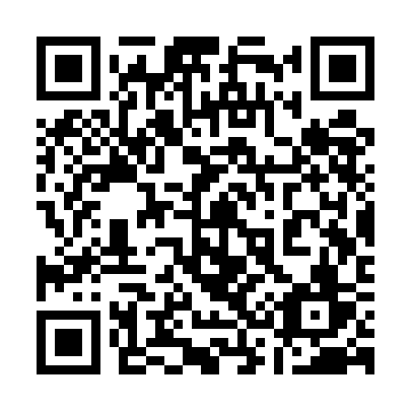 QR code for plate 133-UCV