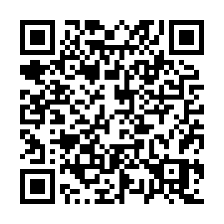 QR code for plate 133-XVS