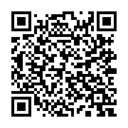 QR code for plate 138-XJL
