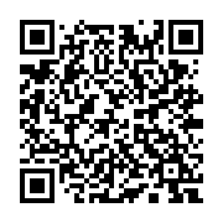 QR code for plate 141-VFM