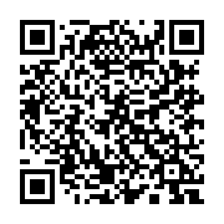 QR code for 161-HNE